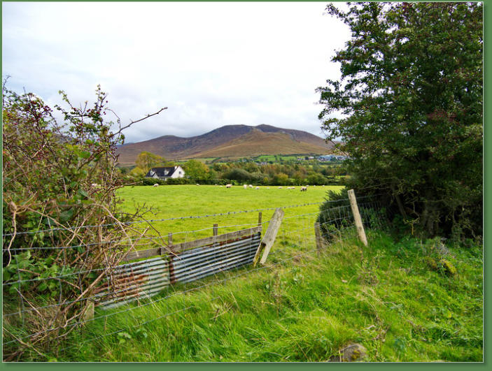 Blick auf die Mourne Mountain, Nordirland