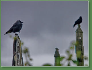 Drumcliff Cemetery - Drumcliff, Irland