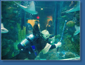 Aquarium New Orleans, LA