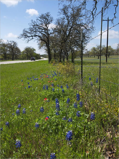 Highway 16 - Texas