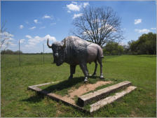 Lyndon B. Johnson State Park + Historic Site - TX