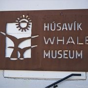 Whale Museum