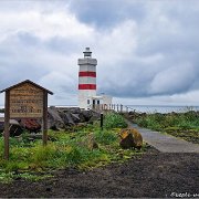 Vitinn í Gjögurtá