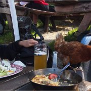 06 053  Alpe Obere Kalle