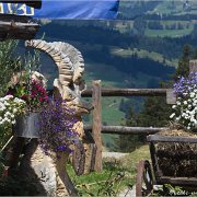 06 057  Alpe Obere Kalle