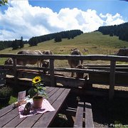 06 049  Alpe Obere Kalle
