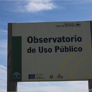 Flamingos am Cabo de Gata