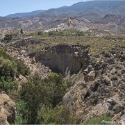 Oasis-Mini Hollywood