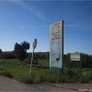 Laguna de Fuente di Piedra