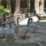 123