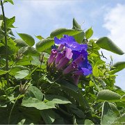 054