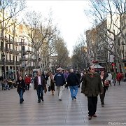 Ramblas10a