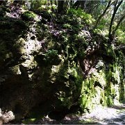 Wanderung im Anaga-Gebirge