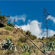 Wanderung Masca-Schlucht