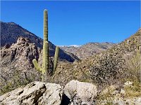 Tucson Sabino Canyon