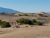 Mesquite Flat Sand Dunes 2013
