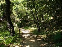 Pfeiffer Big Sur State Park