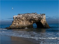 Natural Bridges State Beach