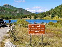 Lily Lake