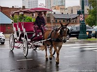 3. Tag - French Quarter