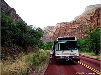 Observation Point Trail