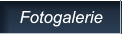 Fotogalerie Fotogalerie