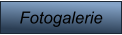 Fotogalerie