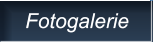 Fotogalerie Fotogalerie
