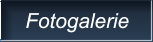 Fotogalerie Fotogalerie