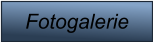 Fotogalerie