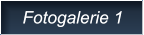Fotogalerie 1 Fotogalerie 1