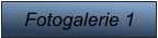 Fotogalerie 1