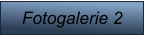 Fotogalerie 2
