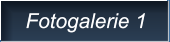 Fotogalerie 1 Fotogalerie 1