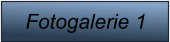 Fotogalerie 1
