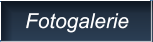 Fotogalerie Fotogalerie