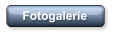 Fotogalerie