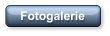 Fotogalerie