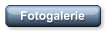 Fotogalerie
