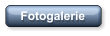 Fotogalerie