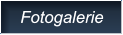 Fotogalerie Fotogalerie
