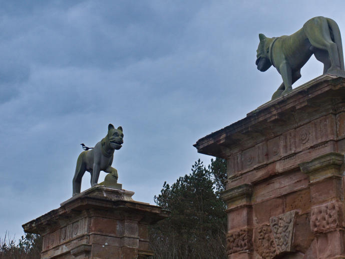 Along the Cause Way, Nordirland (Großbritannien)