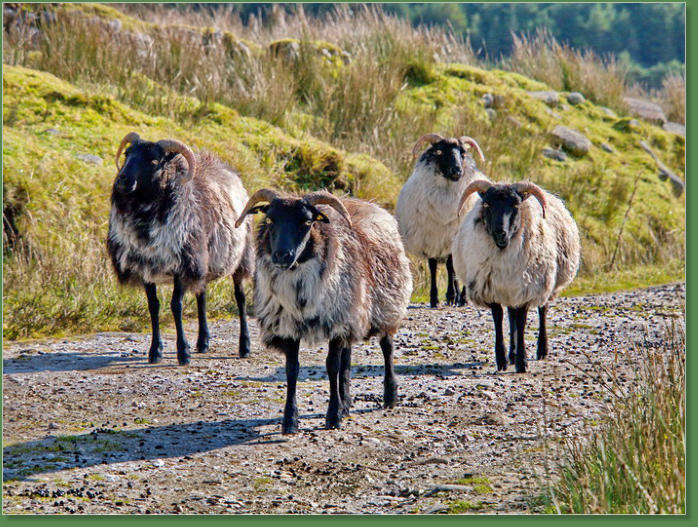Das verlassene Dorf bei Slievemore - Achill Island, Irland
