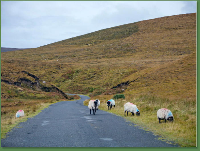 Minaun Heights - Achill Island, Irland