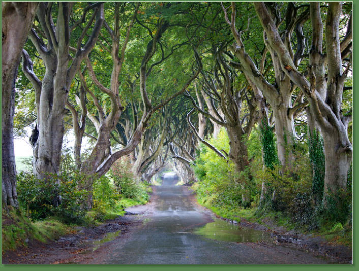 Dark Hedges, Nordirland