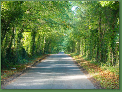 Unterwegs nach Newgrange, Irland