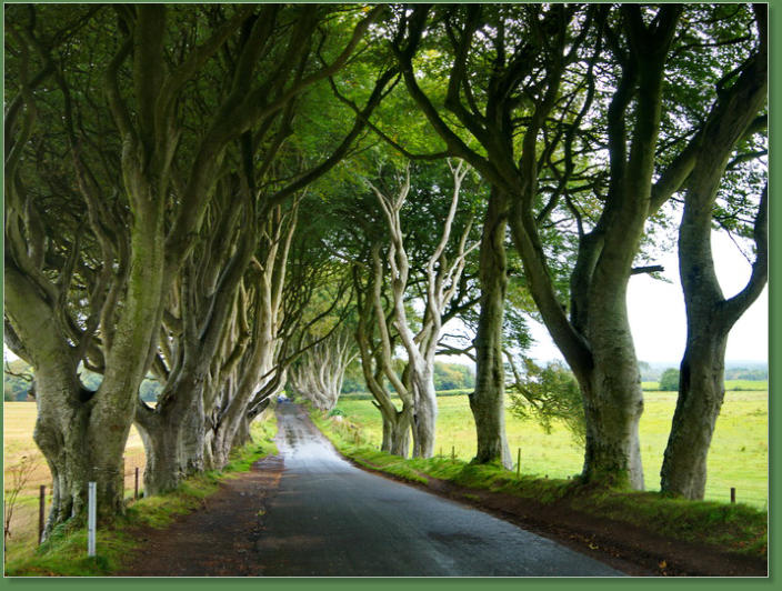Dark Hedges, Nordirland