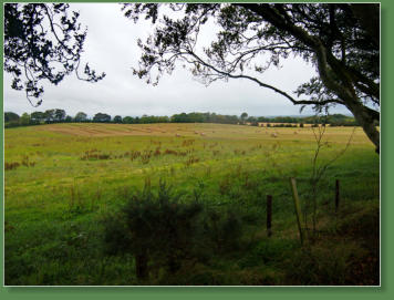 Dark Hedges, Nordirland