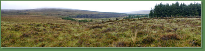 Altarichard und Breen Forrest, Nordirland