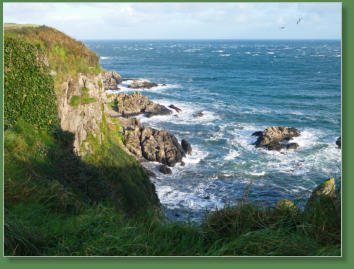 Giants Causeway - Bushmills, Nordirland